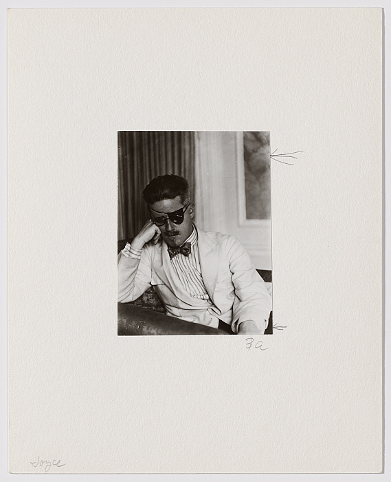 Portrait of James Joyce Slider Image 2